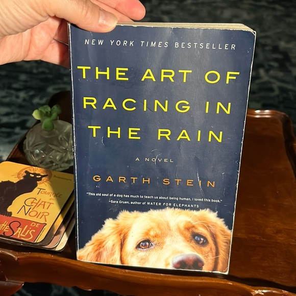 The Art of Racing in the Rain by Garth Stein - Picture 1 of 7